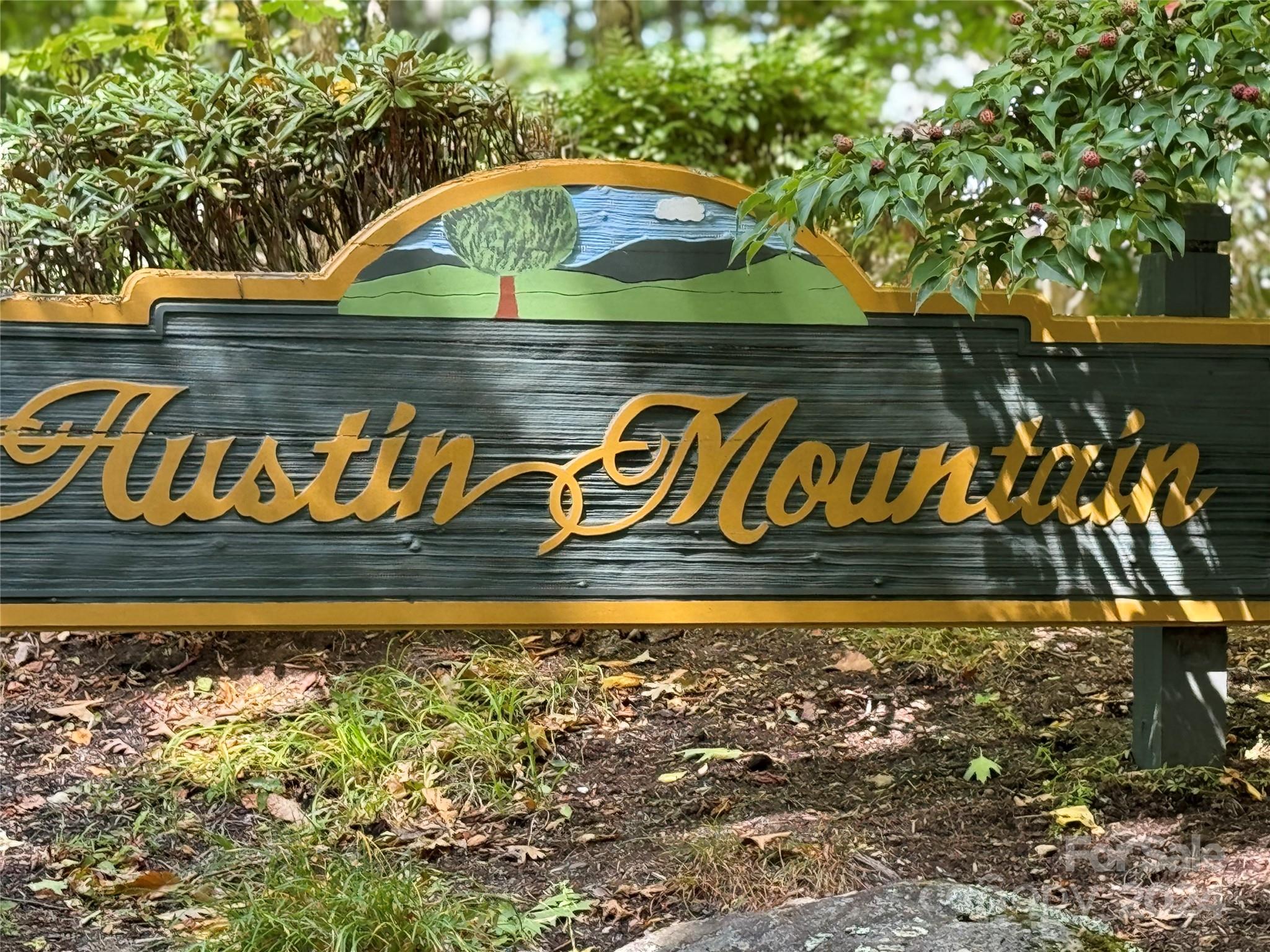 Lot 12 Austin Mountain Drive, Burnsville