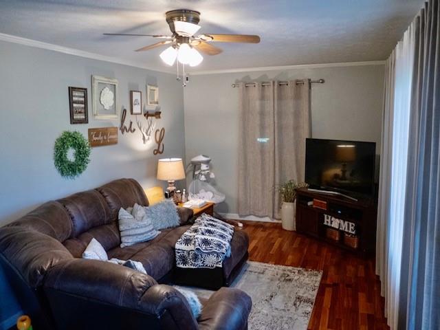 Photo 4 of 7066 Peyronel Street