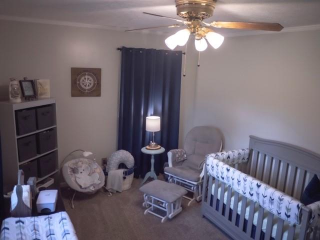 Photo 12 of 7066 Peyronel Street